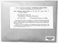 Image Associated With the Occurence